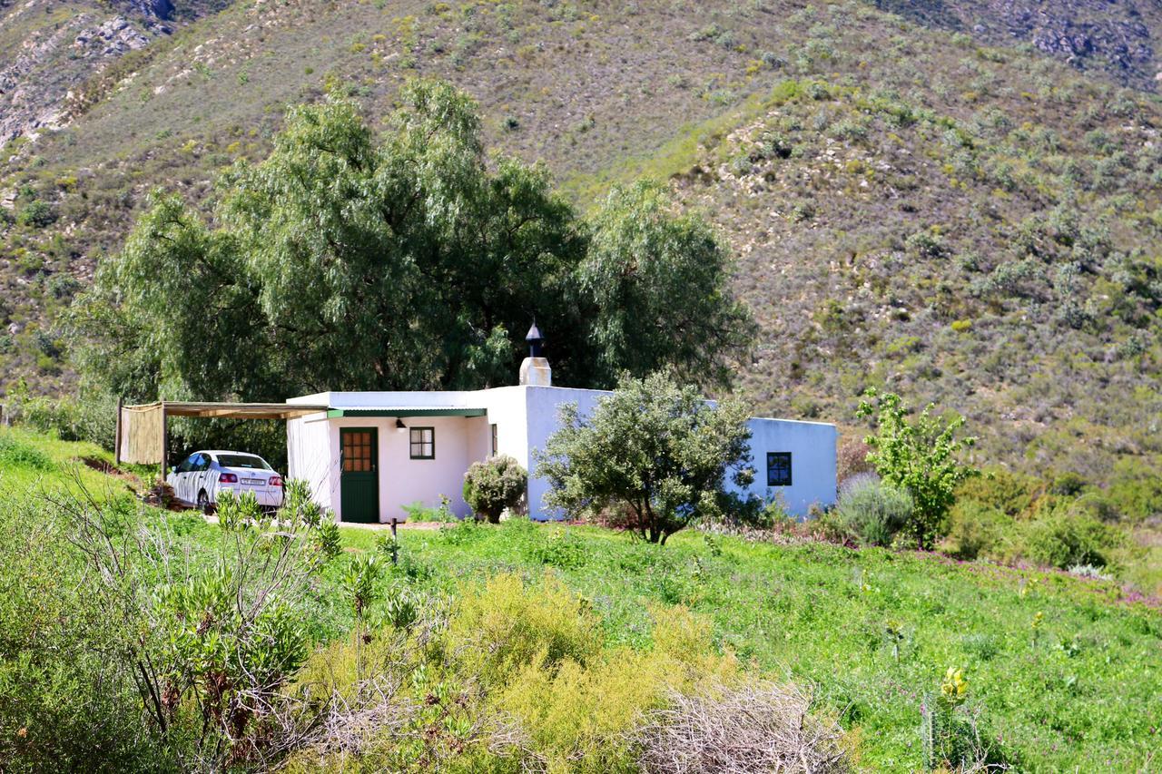 Tierhoek Cottages Robertson Kültér fotó