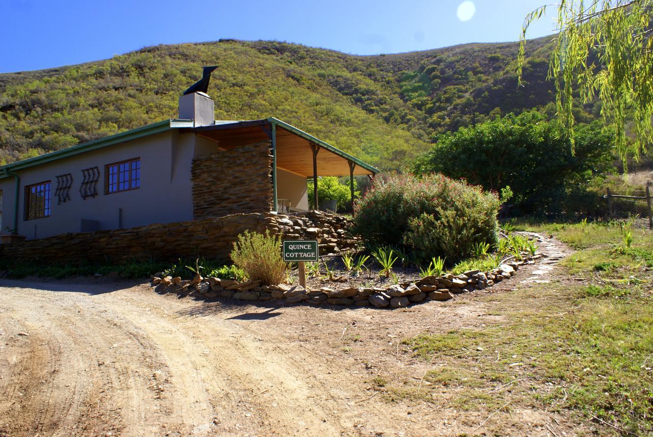 Tierhoek Cottages Robertson Kültér fotó