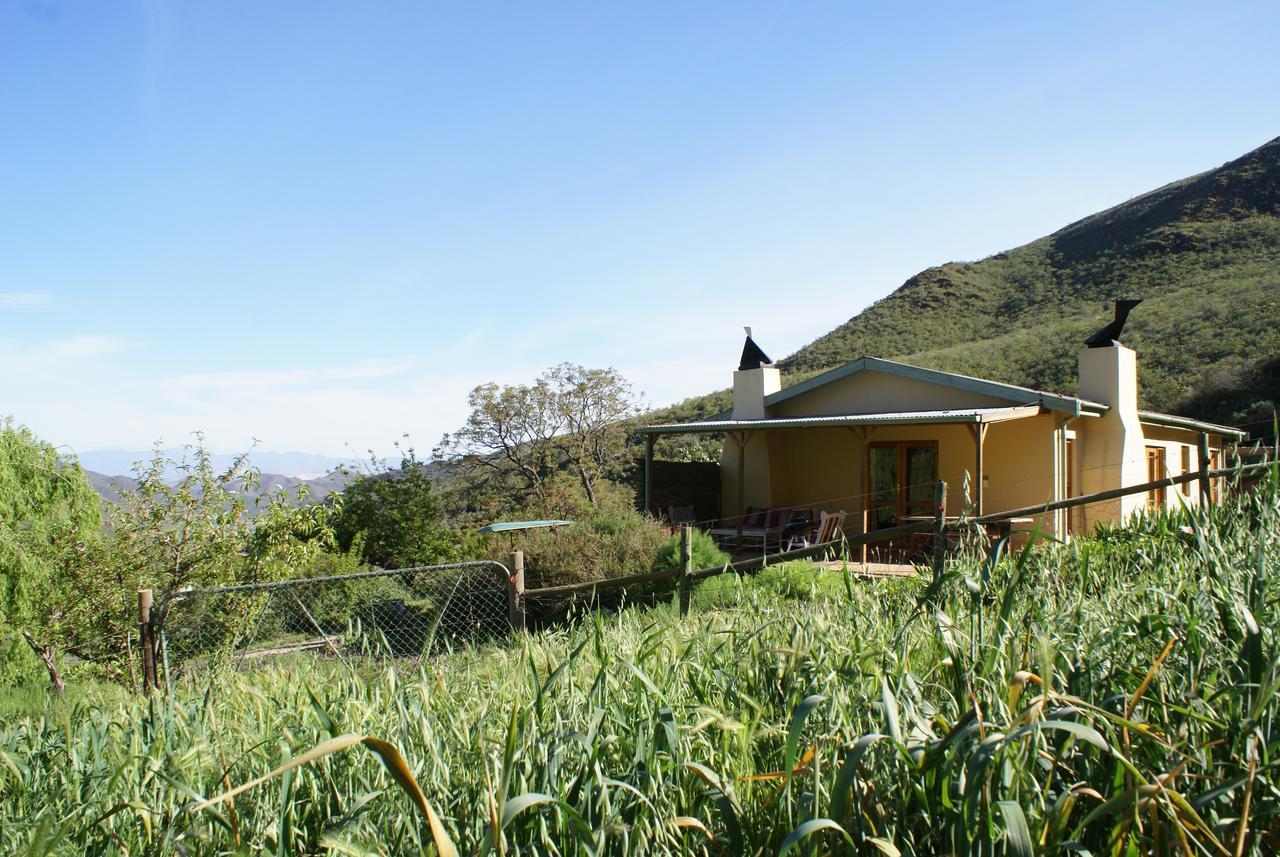 Tierhoek Cottages Robertson Kültér fotó