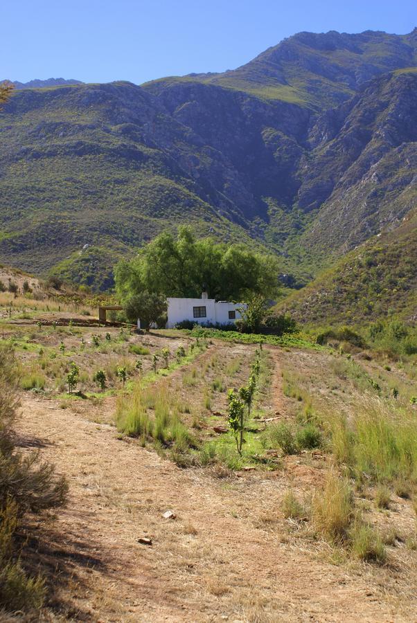 Tierhoek Cottages Robertson Kültér fotó